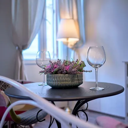 Old Romanitic 1 With Free Private Parking 公寓 *